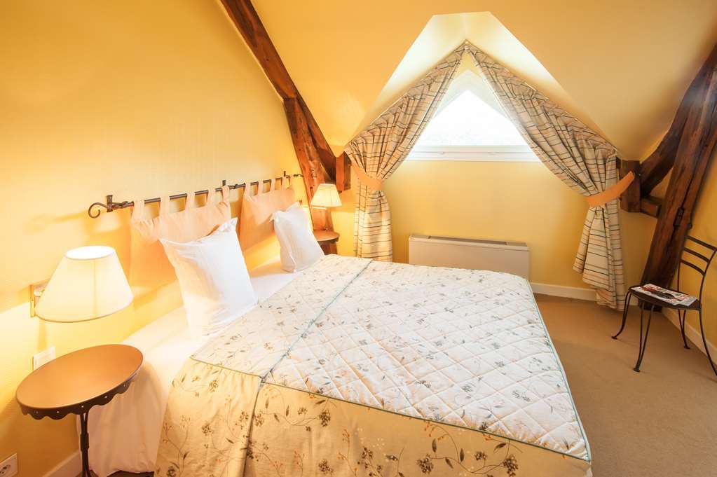 Hotel Logis Domaine De Valaudran Salbris Habitación foto
